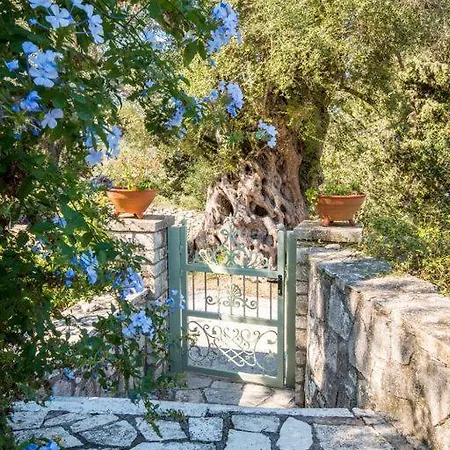 Villa Maritsa, Magazia